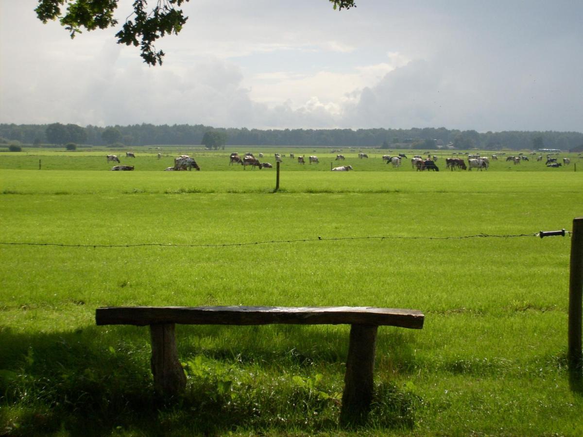 Ferienwohnung Boerderij De Aarnink Heeten Exterior foto