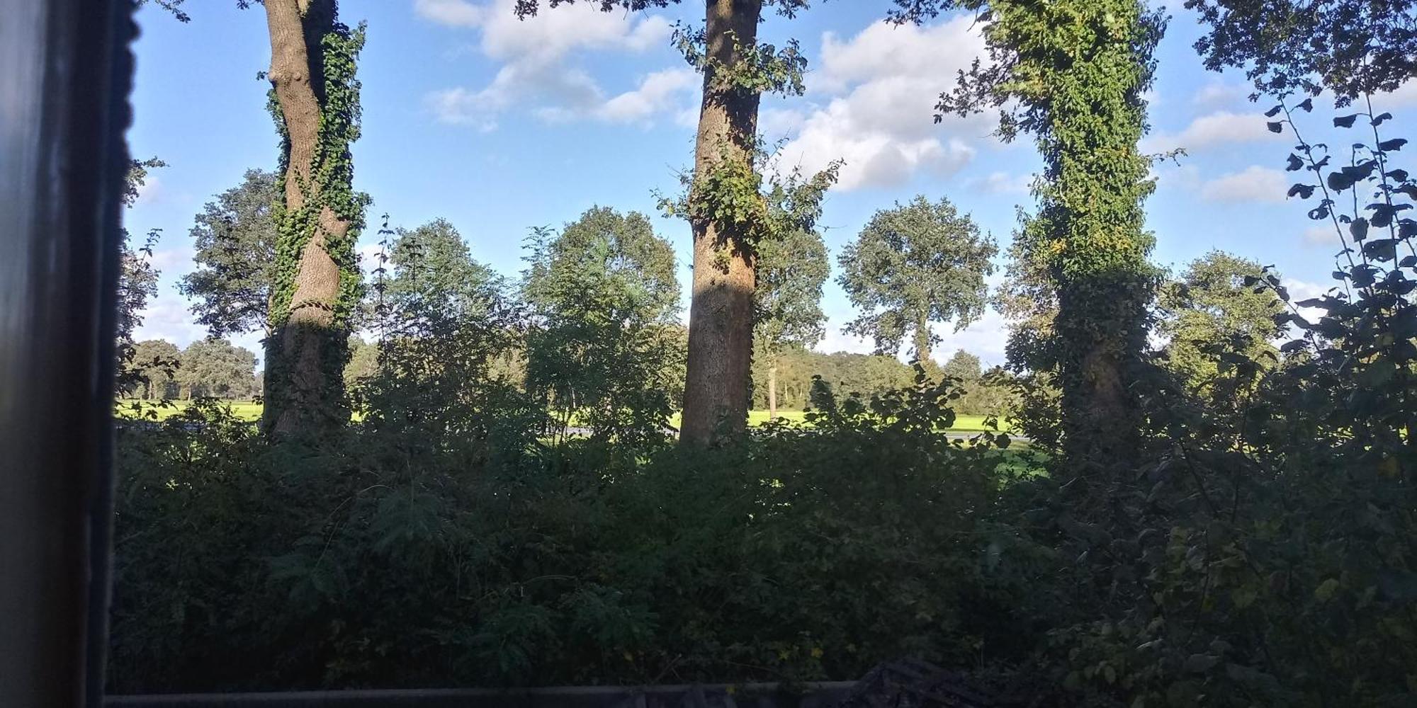 Ferienwohnung Boerderij De Aarnink Heeten Zimmer foto